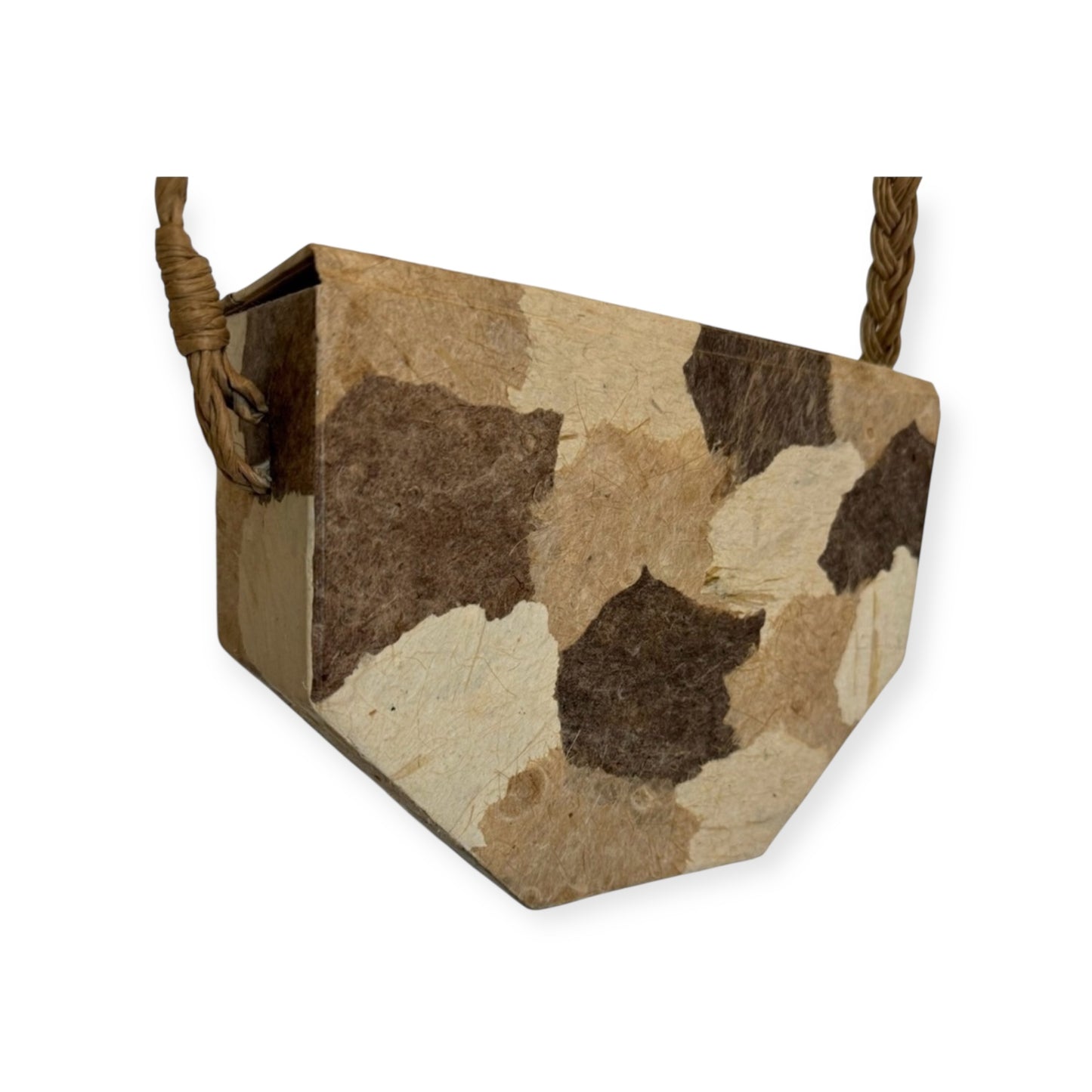 Timmy Woods Paper Mache